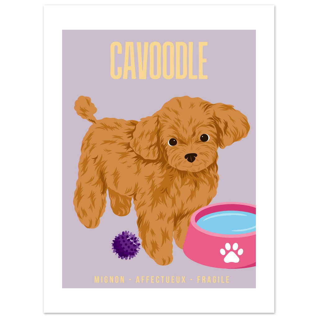 Affiche Cavoodle - Mignon - Affectueux - Fragile – Poster 30 x40 cm - Collection Dogs stories – StudioRetroPop® – Design Option 1