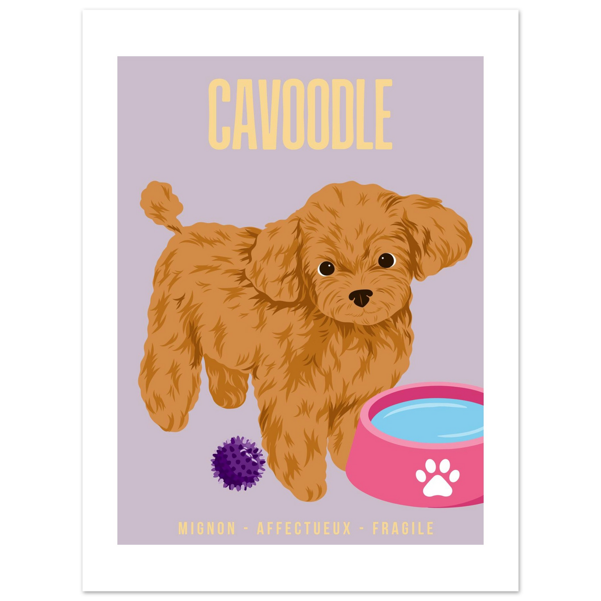 Affiche Cavoodle - Mignon - Affectueux - Fragile – Poster 30 x40 cm - Collection Dogs stories – StudioRetroPop® – Design Option 1