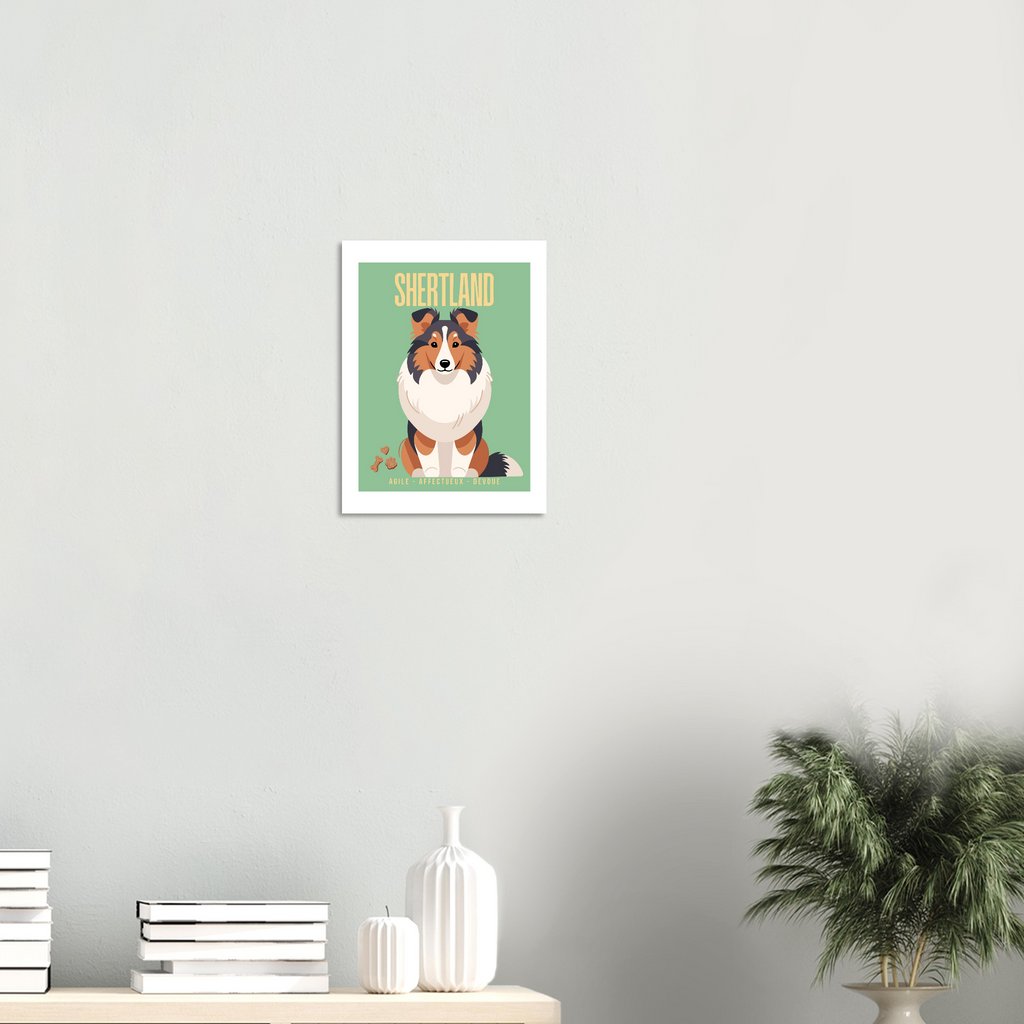 Affiche Shertland–Agile- Affectueux -dévoué - Poster 30 x40 cm - Collection Dogs stories – StudioRetroPop®