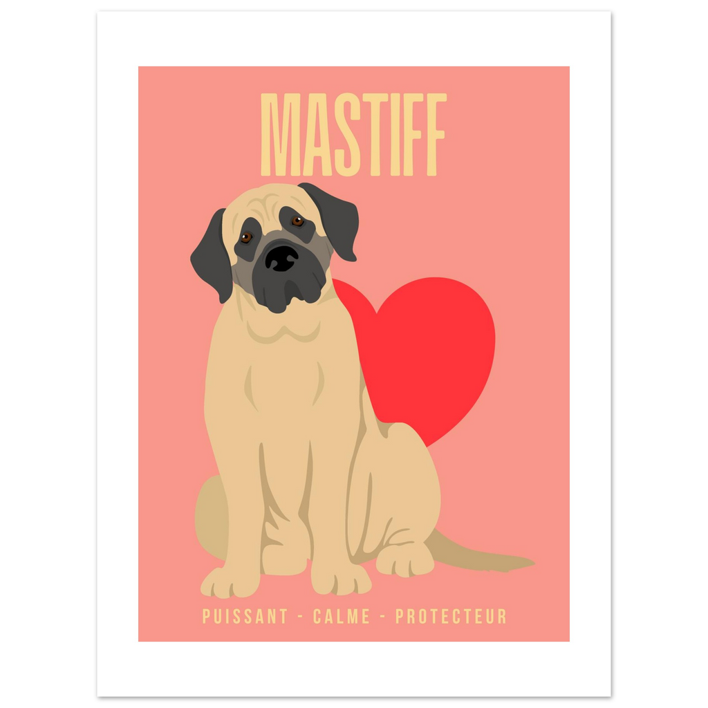 Affiche Mastiff–Puissant- Calme - Protecteur - Poster 30 x40 cm - Collection Dogs stories – StudioRetroPop®