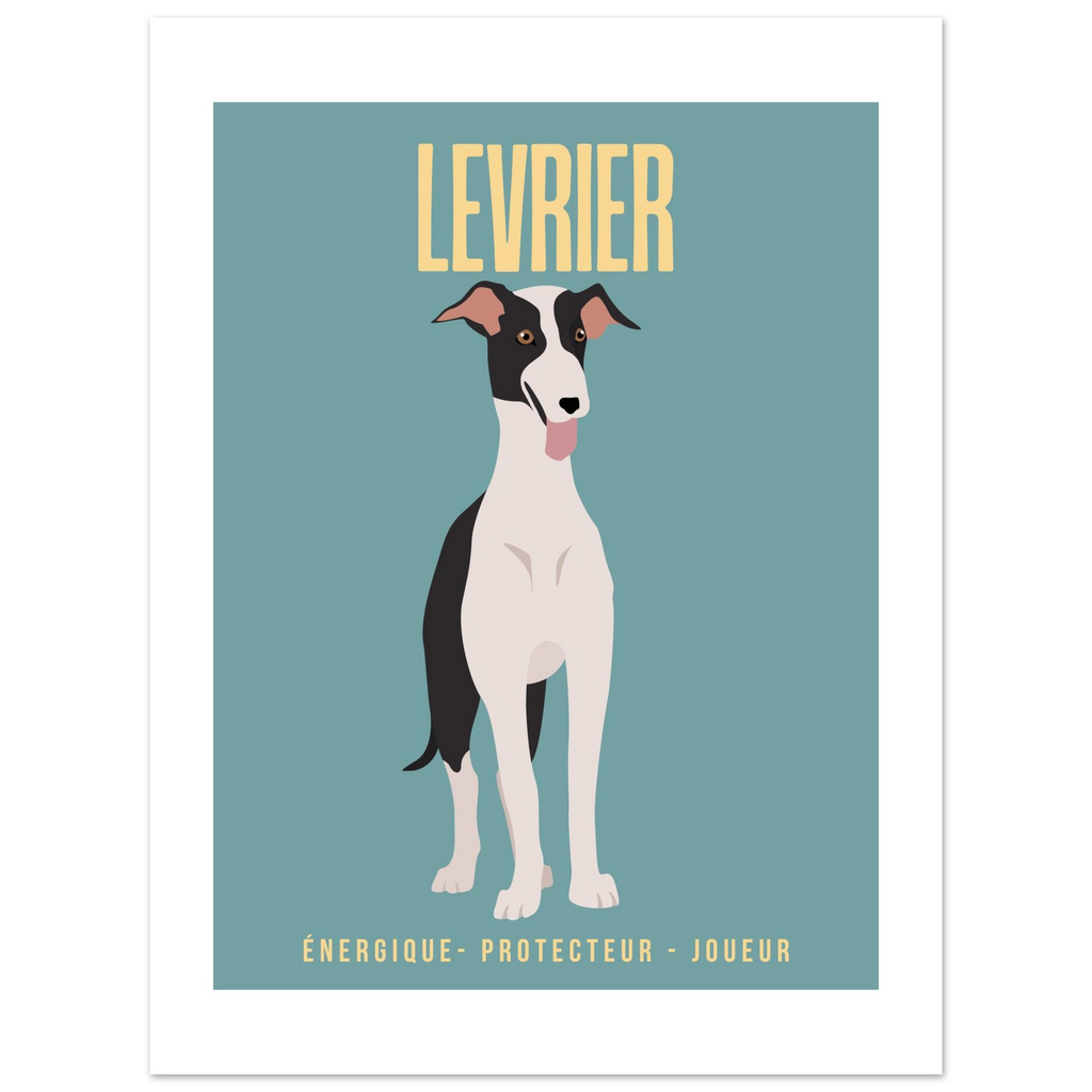 Affiche Levrier–Energique- Protecteur - Joueur - Poster 30 x40 cm - Collection Dogs stories – StudioRetroPop®