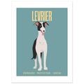 Affiche Levrier–Energique- Protecteur - Joueur - Poster 30 x40 cm - Collection Dogs stories – StudioRetroPop®