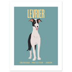 Affiche Levrier–Energique- Protecteur - Joueur - Poster 30 x40 cm - Collection Dogs stories – StudioRetroPop®