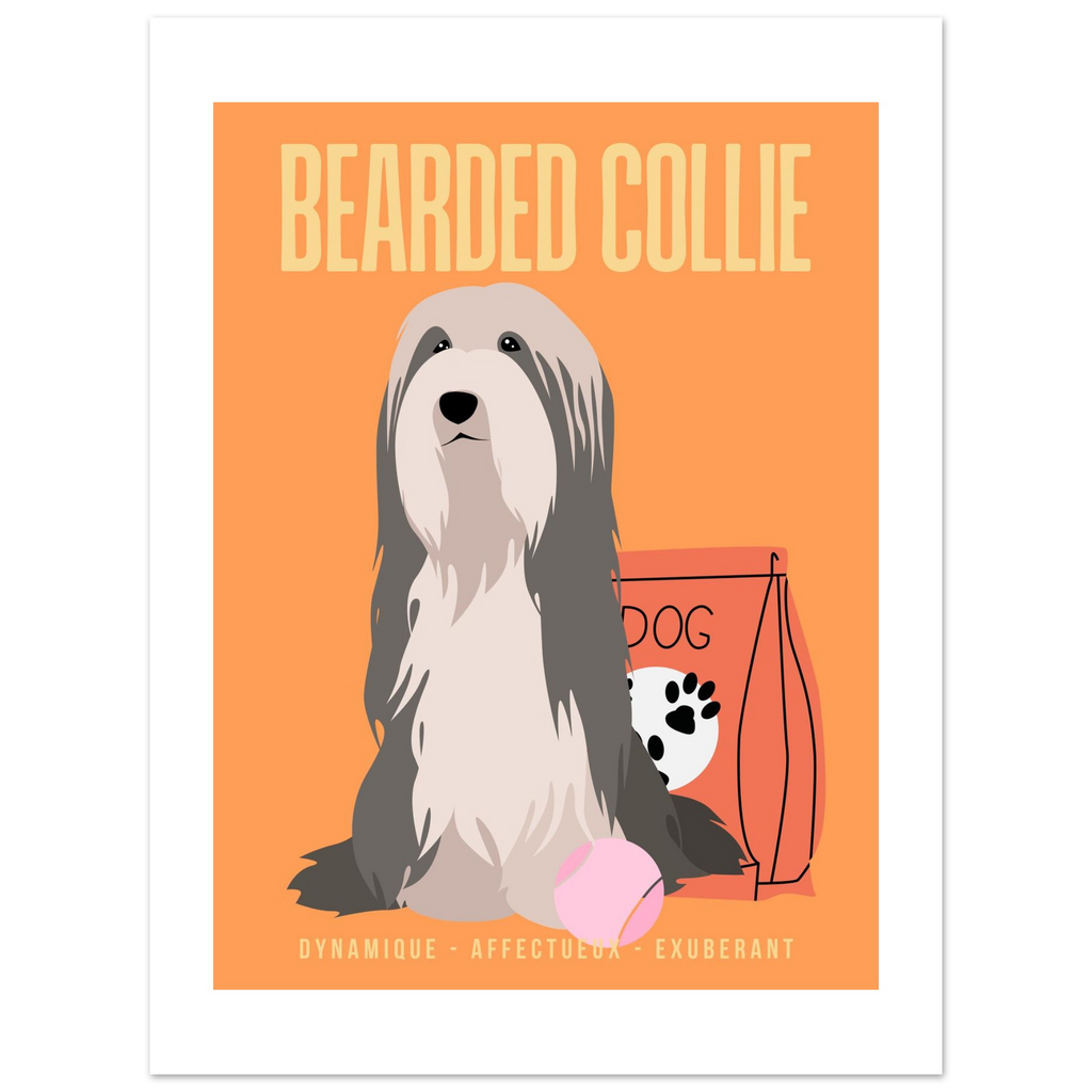 Affiche Bearded Collie–Dynamique- Exuberant - Poster 30 x40 cm - Collection Dogs stories – StudioRetroPop®