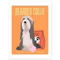 Affiche Bearded Collie–Dynamique- Exuberant - Poster 30 x40 cm - Collection Dogs stories – StudioRetroPop®