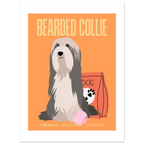 Affiche Bearded Collie–Dynamique- Exuberant - Poster 30 x40 cm - Collection Dogs stories – StudioRetroPop®