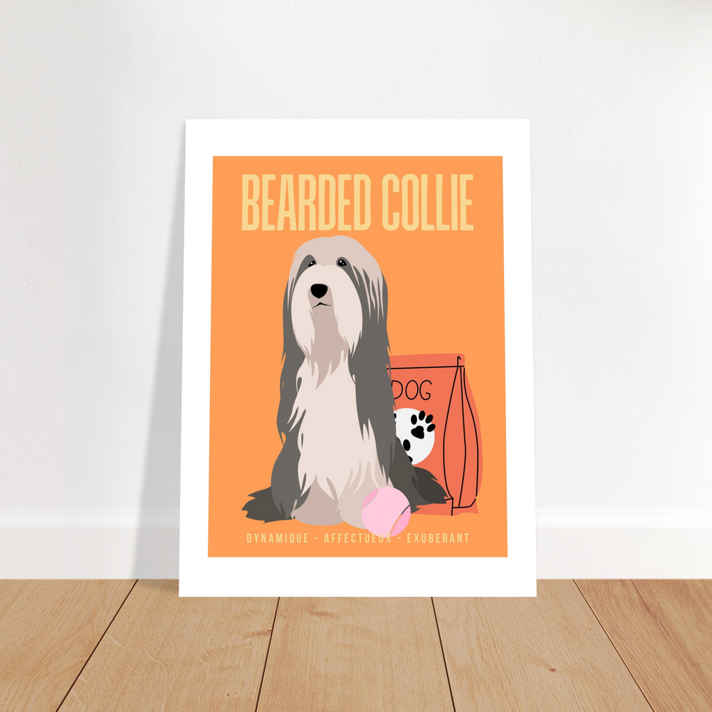 Affiche Bearded Collie–Dynamique- Exuberant - Poster 30 x40 cm - Collection Dogs stories – StudioRetroPop®