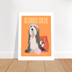 Affiche Bearded Collie–Dynamique- Exuberant - Poster 30 x40 cm - Collection Dogs stories – StudioRetroPop®