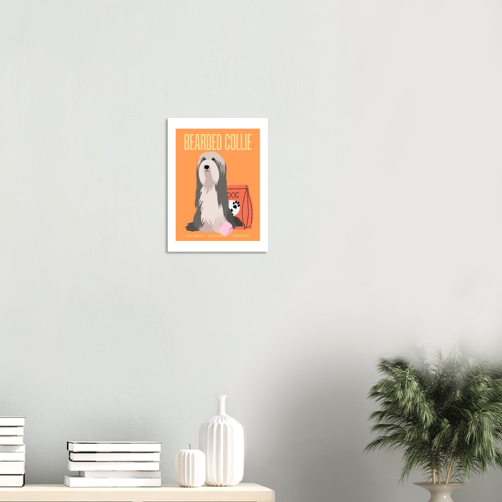 Affiche Bearded Collie–Dynamique- Exuberant - Poster 30 x40 cm - Collection Dogs stories – StudioRetroPop®