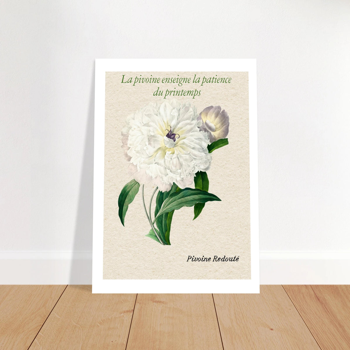 Affiche La pivoine Redouté - Affiche Vintage Botanical  - Collection Flower Stories FS N°001 – StudioRetroPop® – 30x40 cm / 12x16″
