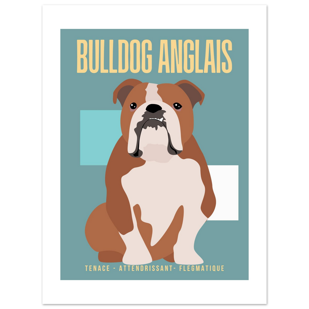 Affiche Bulldog Anglais– Tenace - Attendrissant - Flegmatique - Poster 30 x40 cm - Collection Dogs stories – StudioRetroPop®