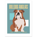 Affiche Bulldog Anglais– Tenace - Attendrissant - Flegmatique - Poster 30 x40 cm - Collection Dogs stories – StudioRetroPop®