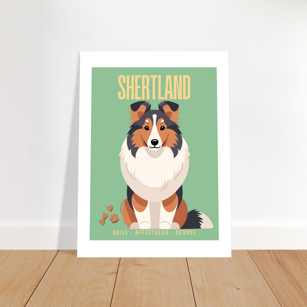 Affiche Shertland–Agile- Affectueux -dévoué - Poster 30 x40 cm - Collection Dogs stories – StudioRetroPop®