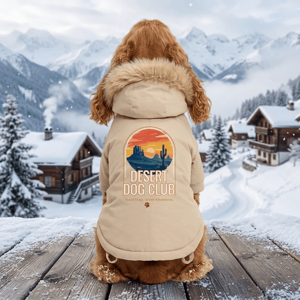 Chien vu de dos portant la parka beige Desert Dogs Club