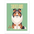 Affiche Shertland–Agile- Affectueux -dévoué - Poster 30 x40 cm - Collection Dogs stories – StudioRetroPop®