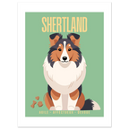 Affiche Shertland–Agile- Affectueux -dévoué - Poster 30 x40 cm - Collection Dogs stories – StudioRetroPop®